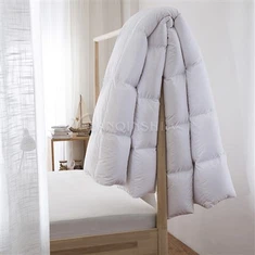 Lett Fluffy Dyneinnlegg