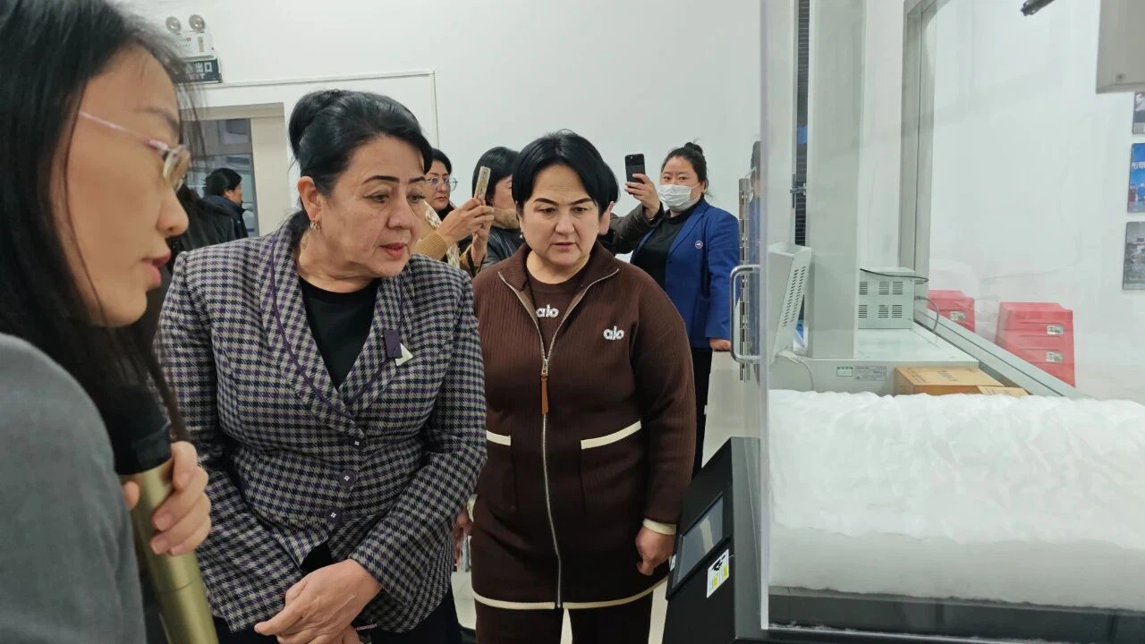 Uzbekistan Women Visit Shaanxi Yalan 3